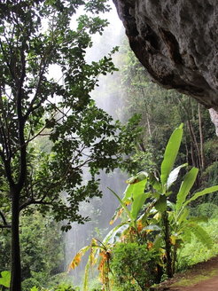 View from Batadomba-lena rockshelter in the Wet Zone rainforest of Sri Lanka