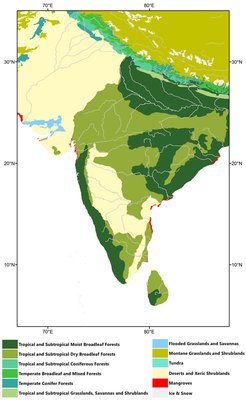 Modern ecological map of South Asia (following Olson et al., 2001).