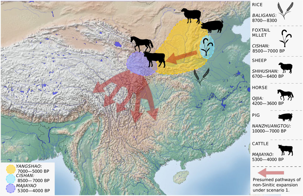 Origin of Sino-Tibetan language family revealed by new research  Max Planck Institute for the 