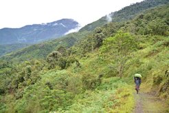 Speakers of the Mek language group, which belongs to the large Trans New Guinea language family, live in the Highlands of Mainland New Guinea (Star Mountains, Province of Papua, Indonesia).
