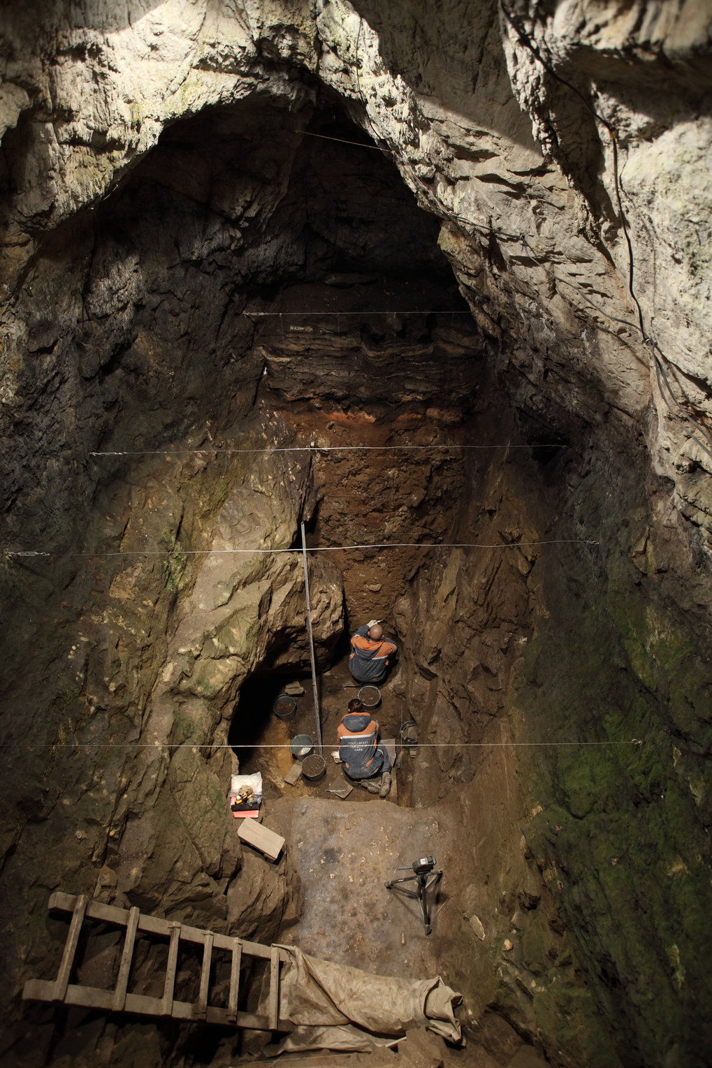 Denisovanos. Parientes extintos de los humanos actuales que habitaron el planeta hace 50.000 años. [Historia] Original-1638183914